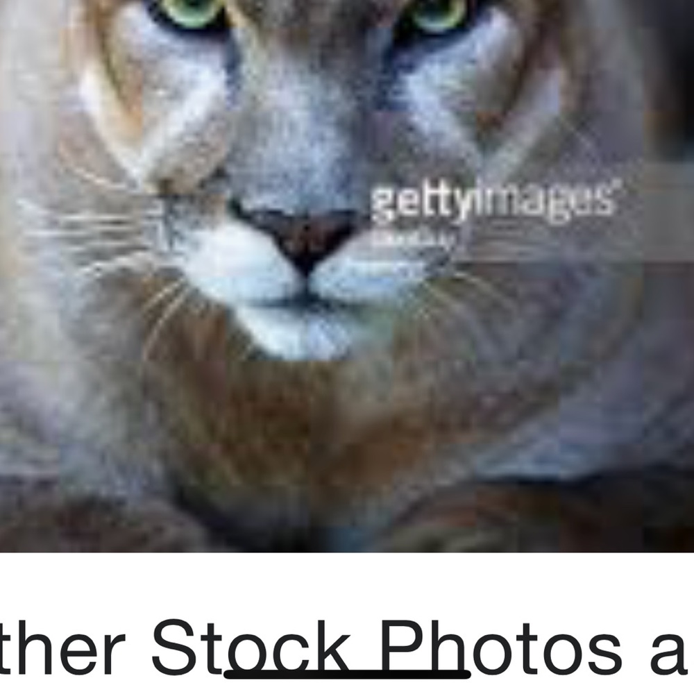 Meet your Posher, Dana